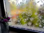 Folie geam electrostatică Tord, d-c-fix, sablare cu imprimeu floral alb, rolă de 90 x 150 cm