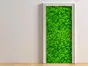 Autocolant uşă Trifoi, Folina, culoare verde, dimensiune autocolant 92x205 cm