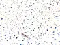 Autocolant mobilă, d-c-fix Terrazzo Neo, rolă de 67x200cm