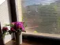Folie geam autoadezivă Office Iridium Silver, Folina, transparenta cu  dungi argintii, 152 cm lăţime