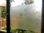 Folie geam autoadezivă Pari, Magicfix, imprimeu peisaj, translucidă, 100x390 cm