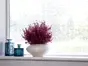 Folie geam autoadezivă Arlo, cu model geometric alb pe fundal transparent, rolă de 75x300 cm