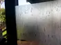 Folie geam electrostatică flori de câmp Somerset