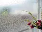 Folie geam autoadezivă Sonja, Alkor, imprimeu floral, rolă de 45X200 cm