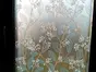 Folie geam autoadezivă Muguri, Folina, imprimeu floral, bleu, rola de 90x100 cm