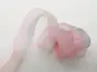 Panglică organza roz pal în degrade, 4 cmx10 metri