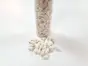 Scoici decorative Melci albi