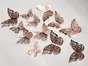 Set 12 Stickere fluturi 3D Rose Gold