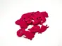 Set 7 decorațiuni creative din fetru magenta cu animale pentru activități craft, Folina, pâslă cu grosime de 3 mm, diverse culori