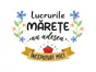 Sticker cu mesaj 'Lucrurile mărețe au adesea începuturi mici', decorațiune pentru școli și gradinițe sau camera copiilor, 80x120 cm, racletă de aplicare inclusă