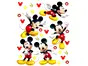 Set 5 Stickere Mickey Mouse, AG Design, planşă de 65x85 cm