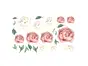 Set 12 stickere flori, bujori crem