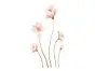 Stickere perete, Folina, magnolii crem, 130 cm
