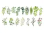 Set 16 stickere decorative Crenguțe Watercolor, Folina, pentru perete, mobilă și geam