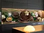 Autocolant perete, Folina, model cafea, rolă de 67x200 cm