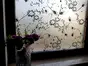 Folie geam autoadezivă Maris, Folina, imprimeu floral, alb-negru, 90x190 cm