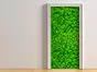Autocolant uşă Trifoi, Folina, culoare verde, dimensiune autocolant 92x205 cm