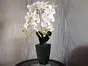 Flori artificiale, Folina, aranjament orhidee albă în vas ceramic negru Parma, 75 cm înălţime