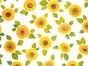 Autocolant decorativ floarea soarelui Sonnenblumen