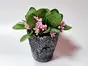 Flori artificiale, Folina, aranjament cu plante verzi şi stamine roz în vas ceramic gri