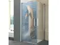 Folie cabină duş, Folina, sablare cu model delfin, rolă de 100x210 cm