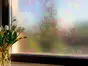 Folie geam autoadezivă Clara, sablare cu imprimeu floral, multicolor, 100x200 cm