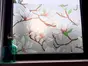 Folie geam autoadezivă Credenza, Folina, sablare cu model floral multicolor, 100 cm lăţime