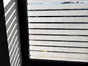 Folie geam autoadezivă Martin, transparentă cu dungi albe, lățime de rolă 123cm