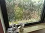 Folie geam autoadezivă, Folina, sablare verde cu model floral, 100 cm lăţime