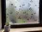 Folie geam autoadezivă Maia, Folina, sablare cu model crenguţe gri, 100 cm lăţime