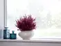 Folie geam autoadezivă Arlo, cu model geometric alb pe fundal transparent, rolă de 75x200 cm   accesorii aplicare