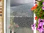 Folie geam autoadezivă Sonja, Alkor, model floral discret, rolă de 67 cm x 5 metri