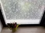 Folie geam electrostatică Candice, d-c-fix, imprimeu floral, translucid, 67 x 150 cm