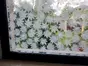 Folie geam autoadezivă cu model frunze albe pe fundal transparent, rolă de 75x200 cm   accesorii aplicare