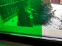 Folie geam electrostatică Penstick, Molco, transparentă, verde deschis, rolă de 100x70 cm