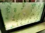 Folie geam autoadezivă Frunze verzi, MagicFix, Summer Dream, sablare cu model crengi şi păsări, 100 cm lăţime