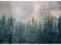 Fototapet Pădure, Dimex, Forest Abstract, 375x250 cm