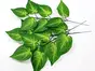 Buchet 5 plante artificiale Frunze verzi, 30 cm înălţime