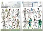 Sticker 16 fotbalişti Real Madrid, Imagicom, autoadeziv