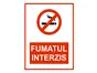 Sticker Fumatul interzis 15x23 cm