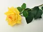 Trandafir artificial galben, 75 cm înălţime