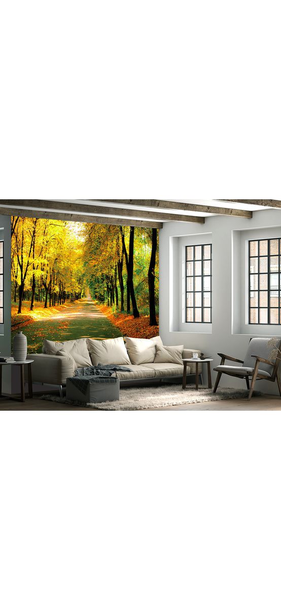 Fototapet peisaj de toamnă, Sunny day in the Autumn Park, 400x260 cm