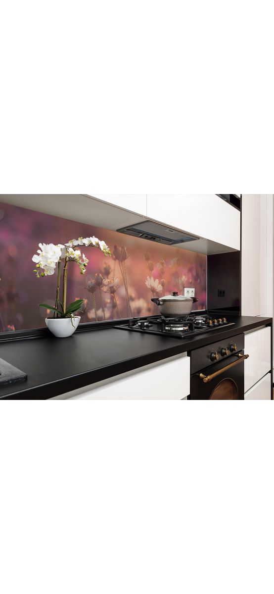 Autocolant perete, Folina, camp cu flori cosmos, rolă de 67x200 cm