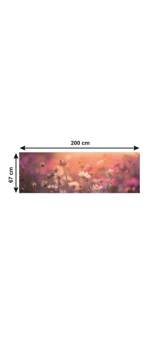 Autocolant perete, Folina, camp cu flori cosmos, rolă de 67x200 cm