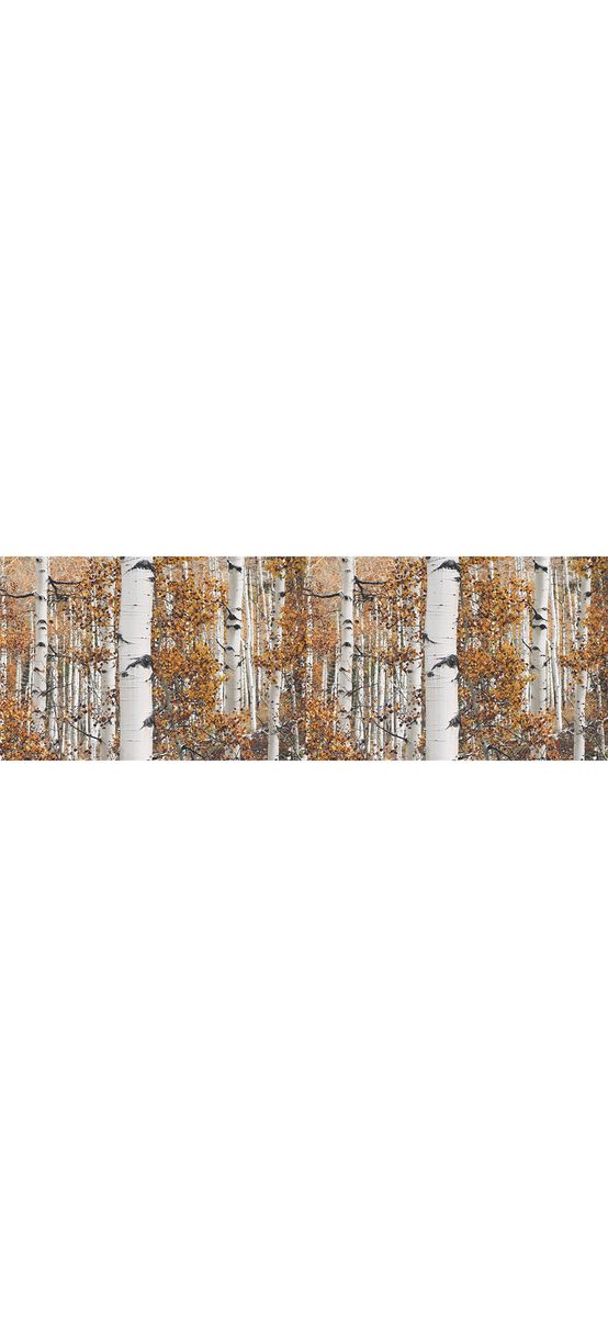 Autocolant perete, Folina, model Emoție de toamnă, rolă de 67x200 cm