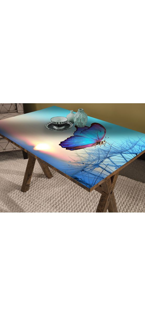 Autocolant blat masă, model fluture, 100 x 100 cm, racletă inclusă