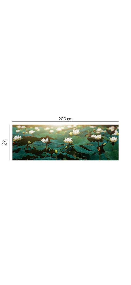 Autocolant perete, Folina, model Nuferi, rolă de 67x200 cm