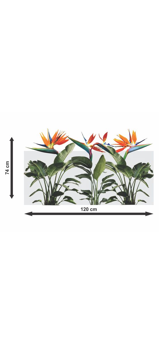 Folie geam autoadezivă Păsările paradisului, cu model decupat, rolă de 74x120 cm, racletă inclusă