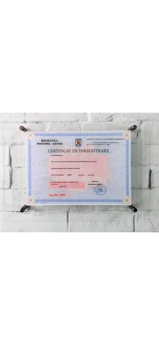 Plăcuță personalizată cu Certificatul de înregistrare pentru firme, din acril transparent, 35x25 cm, distanțiere incluse