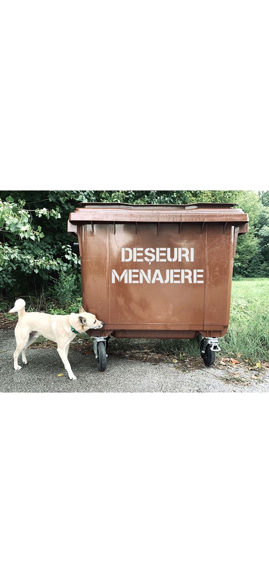 Șablon reutilizabil cu mesajul Deșeuri menajere pentru colectarea selectivă a deșeurilor pentru containere, tomberoane și pubele, dimensiune la comandă